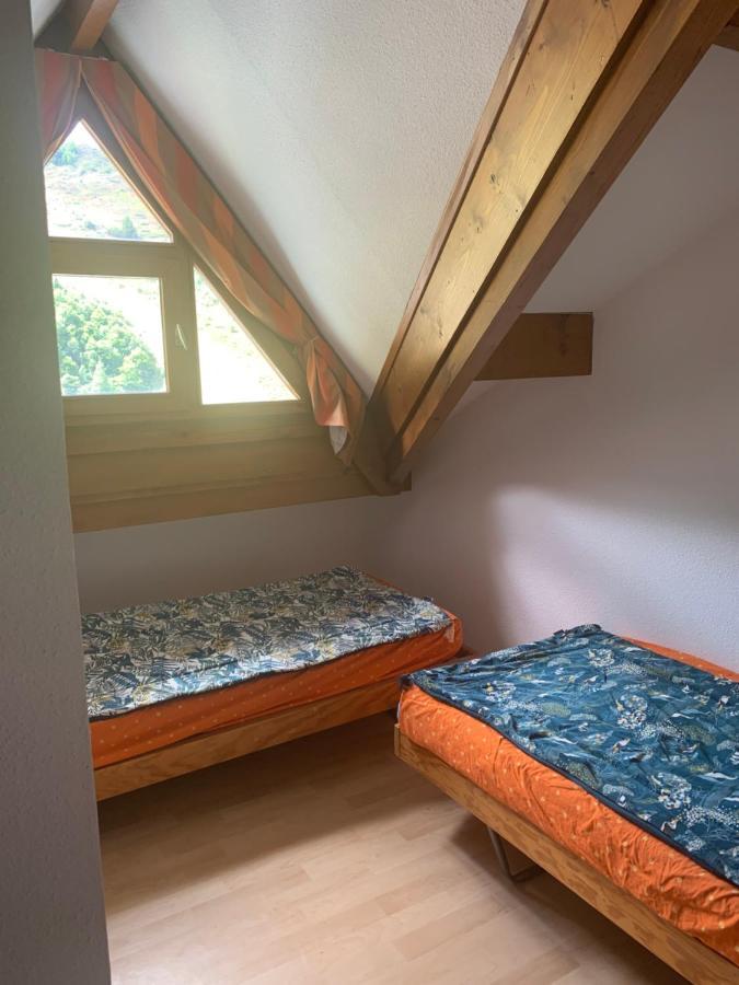 Pleine Nature Pied Pistes Piscine Chauffee Apartment *