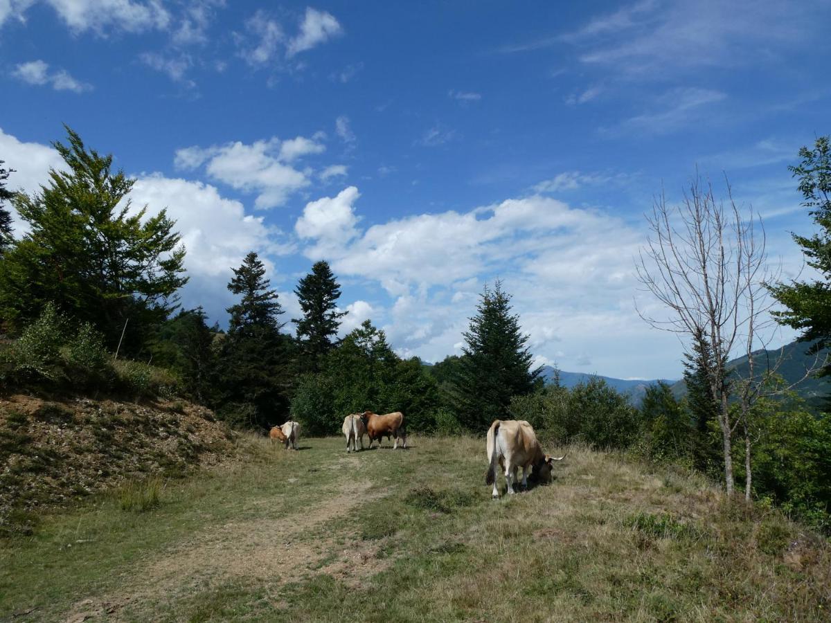 Pleine Nature Pied Pistes Piscine Chauffee Apartamento