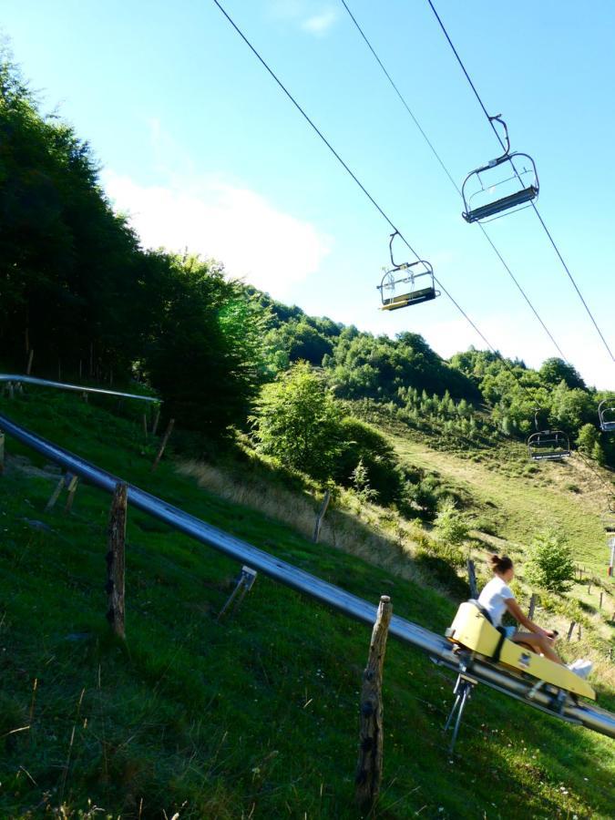 Pleine Nature Pied Pistes Piscine Chauffee Apartment Ustou
